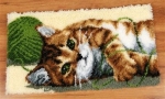 Spelende kat