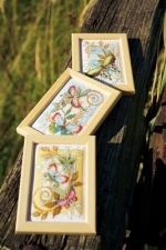 Decoratieve vlinders