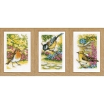 Vogels in tuin