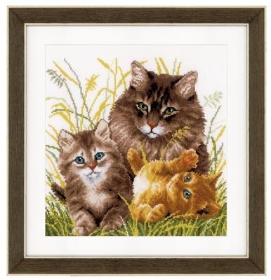 Kattenfamilie