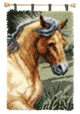 Paard
