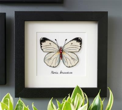 Witte vlinder